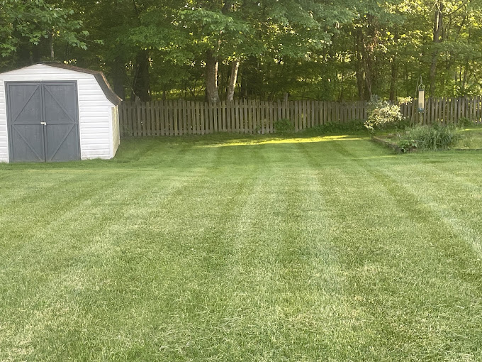 Beautifully mowed lawn example 1