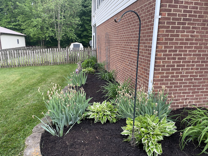 Well-maintained garden example 2