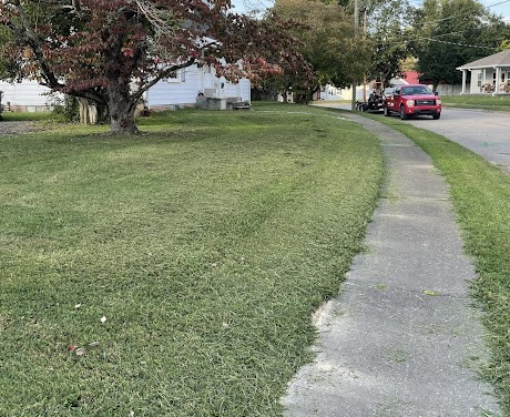 Freshly trimmed grass example 3